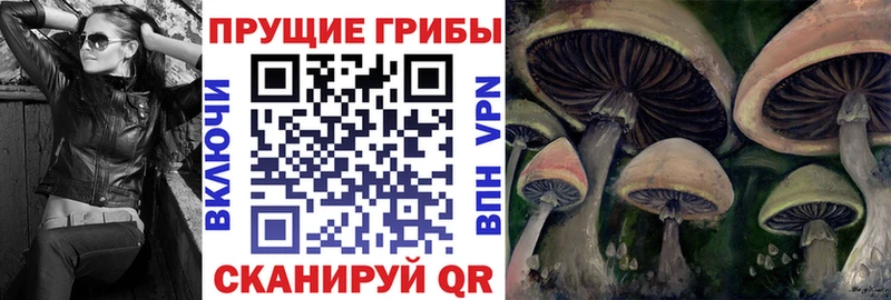 Псилоцибиновые грибы Cubensis закладка Ессентукская